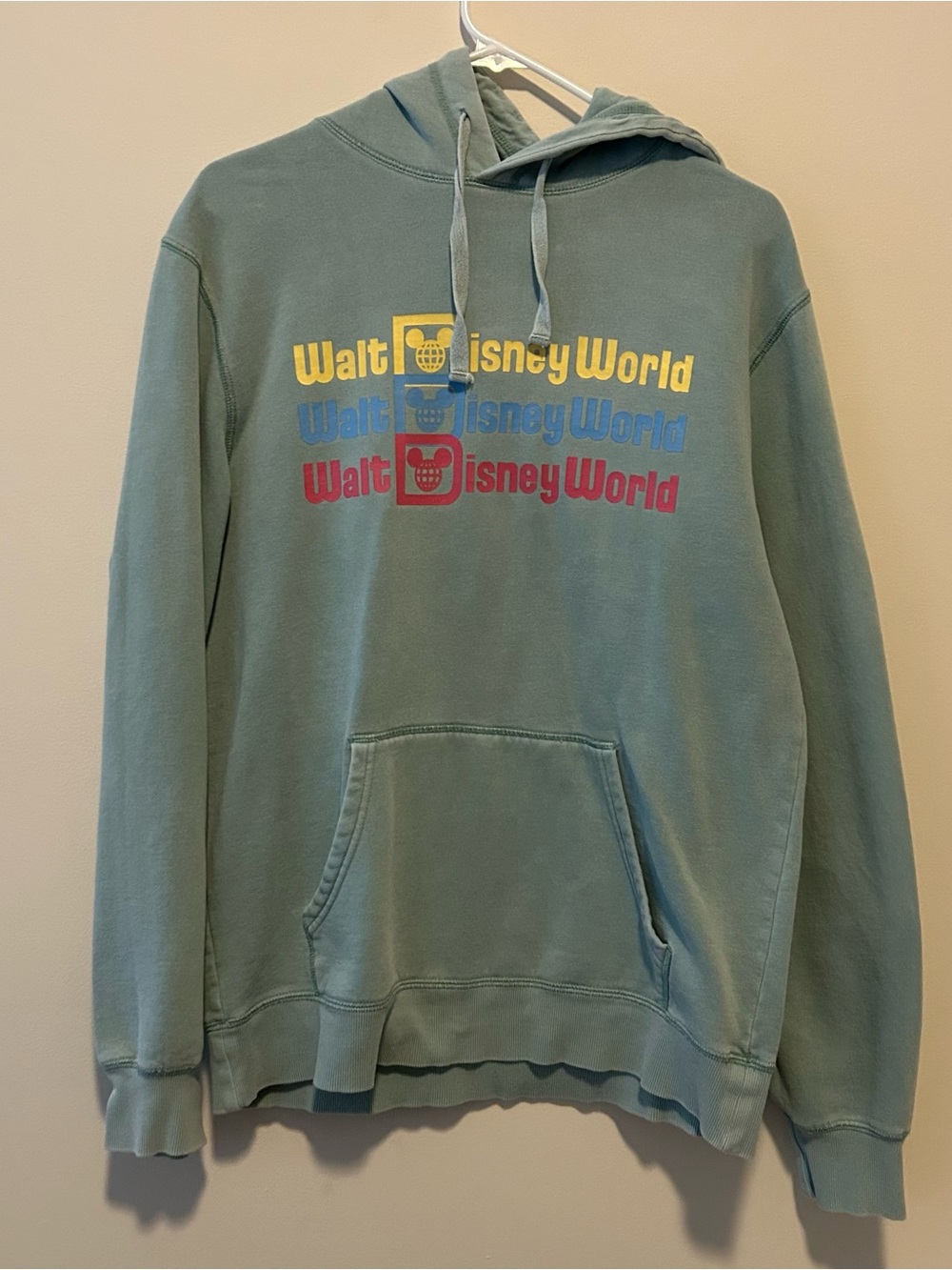 Disney Men's Sage Green Zip-Up Style Hoodie with Retro Walt Disney World Graphic